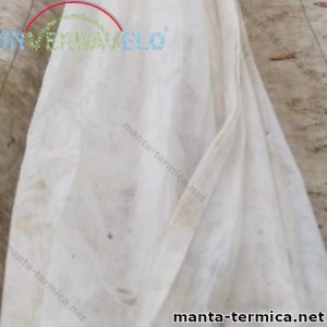 Manta térmica agrícola instalada en campos de cultivo