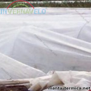 Micro túnel con manta térmica agrícola