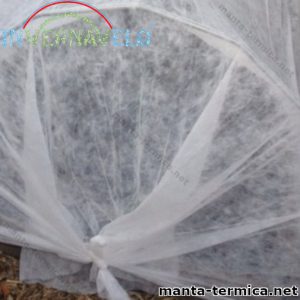 Micro túnel cubierta por manta térmica invernavelo